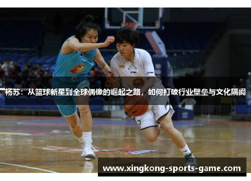 杨苏：从篮球新星到全球偶像的崛起之路，如何打破行业壁垒与文化隔阂